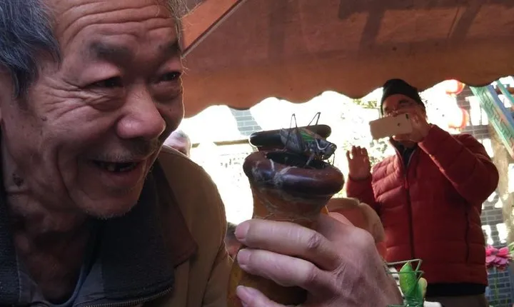 Private Hutong Culture Tour with Dumpling Cooking Class plus Cricket Fighting Game