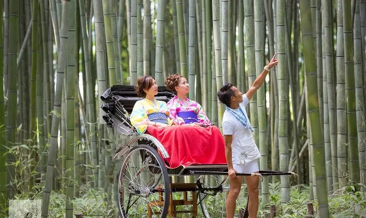 Kyoto Arashiyama Rickshaw Tour with Bamboo Forest