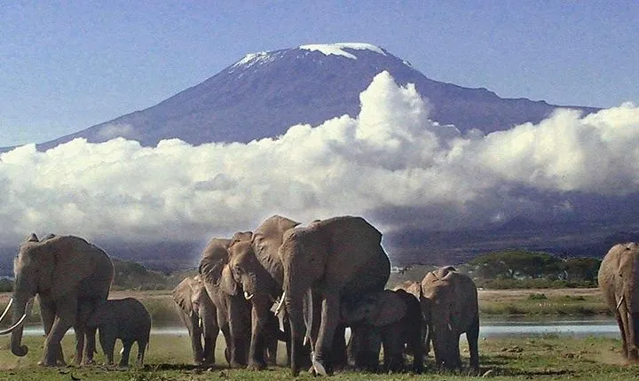 3 Day Amboseli National Park All-Inclusive Camping Safari