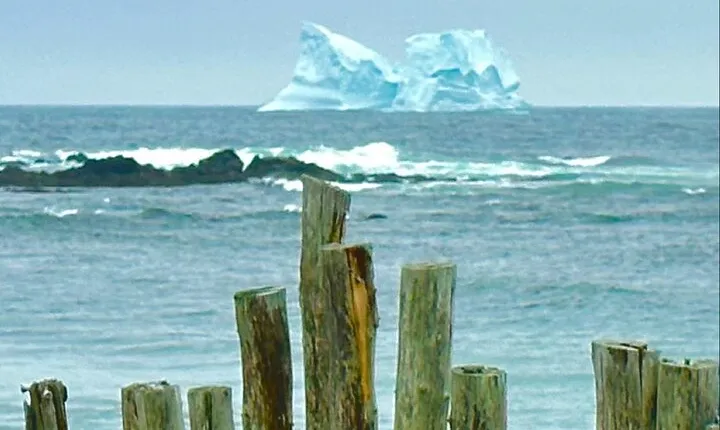 4 Hour St John’s Tour w Come From Away star (lunch included)