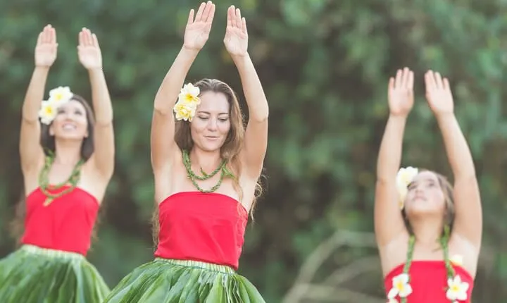 Private Transportation from Honolulu to North Shore (Round-Trip)