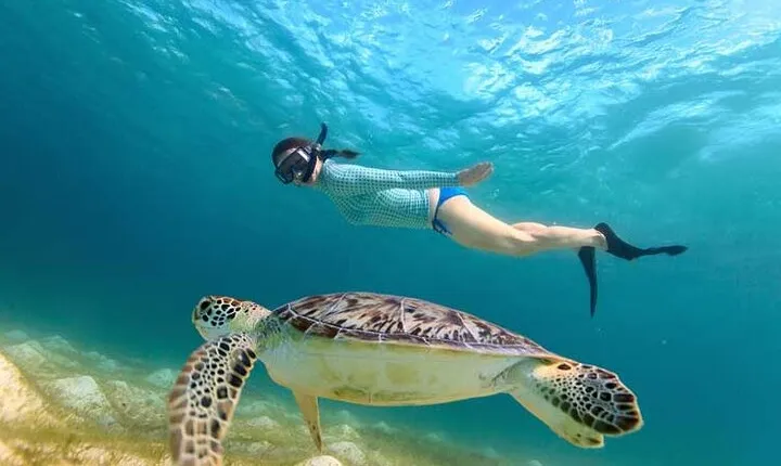 Swim with Turtles in Akumal, Cenote and Visit the Archaeological Zone
