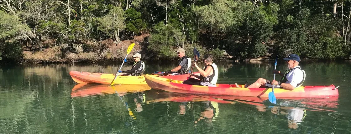 Brunswick River nature kayak tour