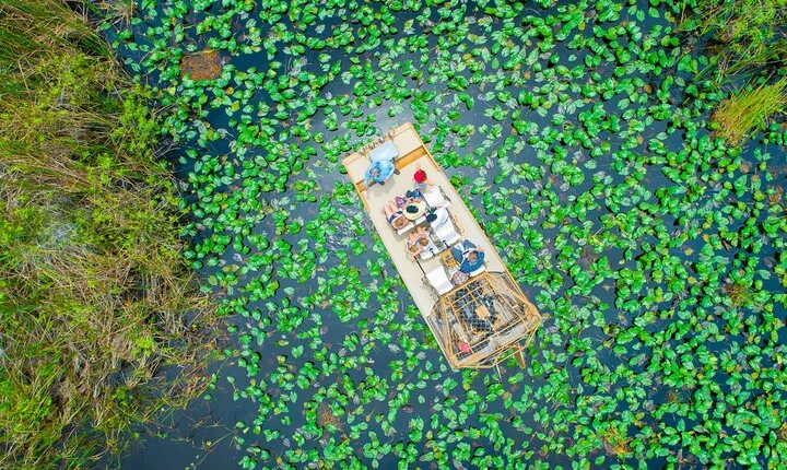 1 hr Private Airboat Everglades Tour near Miami