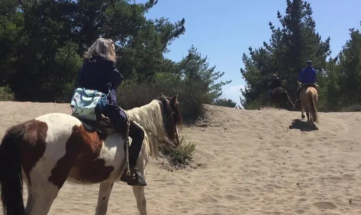 Horse Ride & BARBECUE on Ritoque Beach&Sand Dunes FROM VALPARAISO
