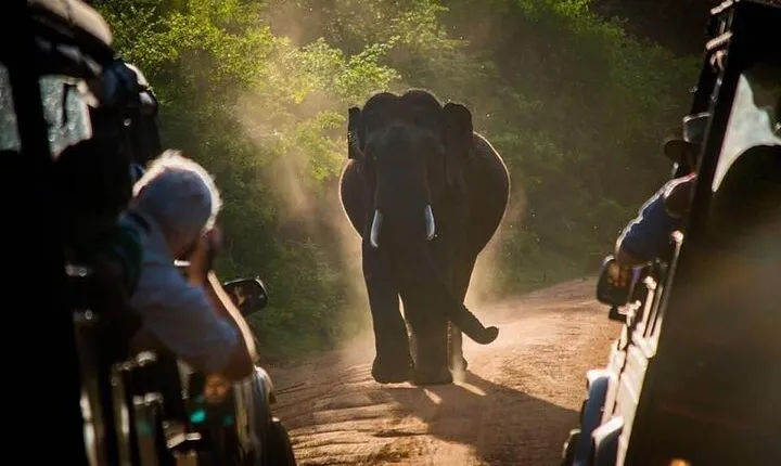 Maduru Oya Safari and Indigenous Village Day Trip from Pasikuda