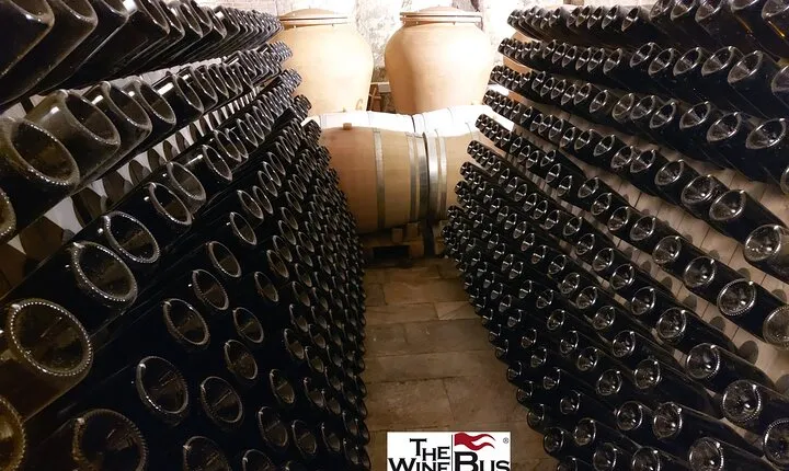 Private Irpinia Wine Tour from Sorrento with Wine Expert