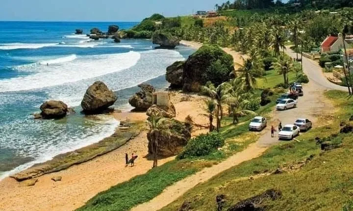 Full-day island tour of Barbados with lunch