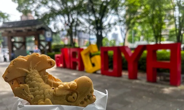 Nagoya Highlights & Street Food Walking Tour [small group]