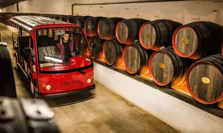 CRICOVA Winery tour with tasting from Chisinau