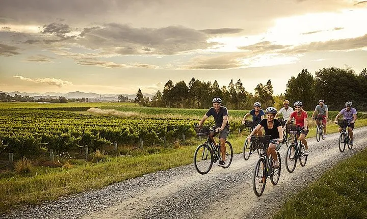 Self-Guided Biking Wine Tour (full day) in the Marlborough Region.