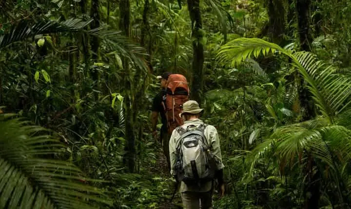 Sulawesi Tangkoko National Park Private Tour