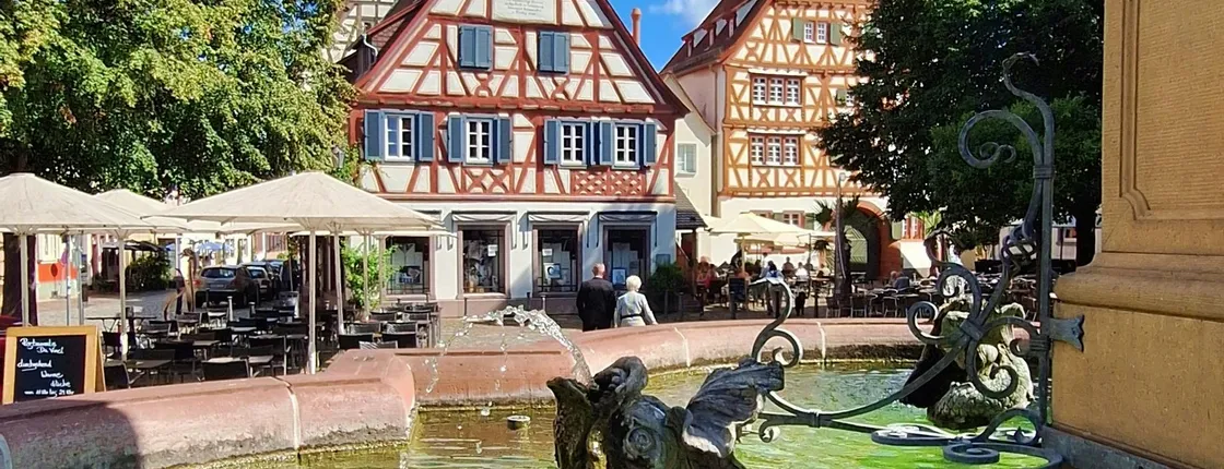 Lorsch Abbey and Ladenburg medieval heritage half-day tour