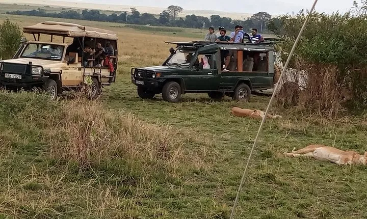 5 Days Lake Mnayara - Serengeti - Ngorongoro - Tarangire Camping group safari 