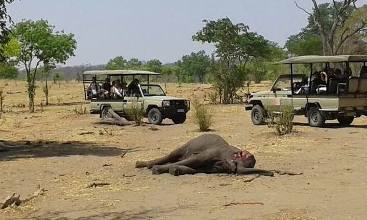 2 Nights Chobe National Park Camping Safari