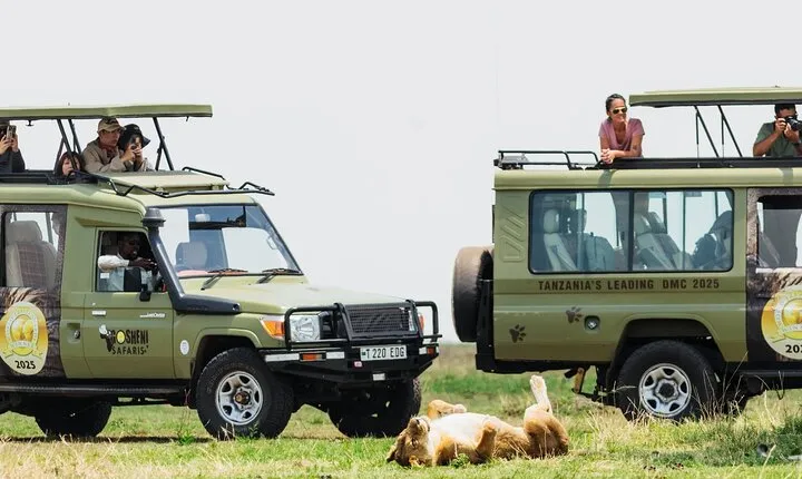 9-Day Enchanting Tanzania Safari -High End All Inclusive