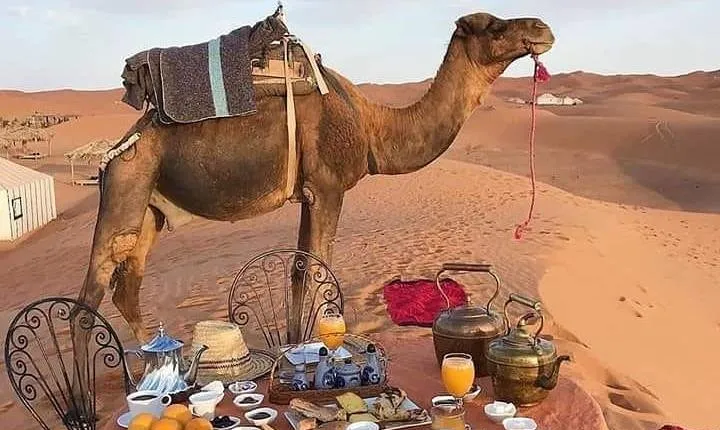 3-Days Desert Tour from Marrakesh