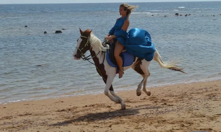 Desert Horse Riding in Nabq & Transfer - Sharm El Sheikh