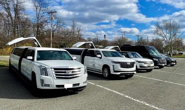 Downtown New York Taxi and Limousine Experience