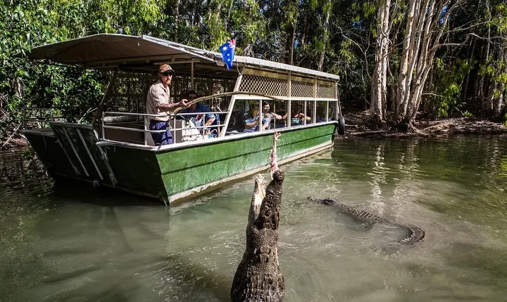 Hartley's Crocodile Adventures Day Trip from Palm Cove