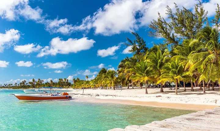 Full-Day Cruise to Saona Island - Natural pool and lunch