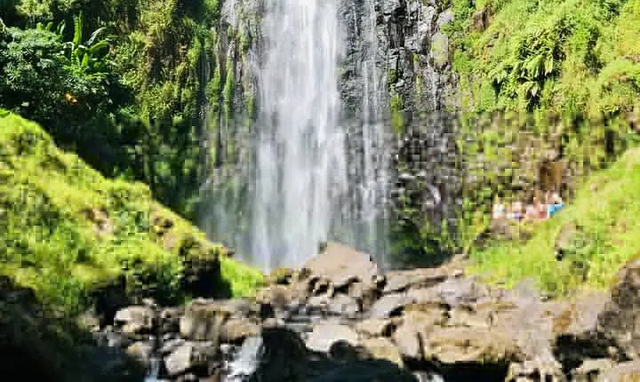 Materuni Waterfall, Coffee Tour and Picnic Hot Lunch