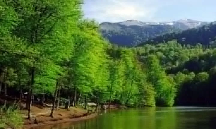 Private tour to Dilijan (Goshavank, Parz (Crystal) Lake, Haghartsin)