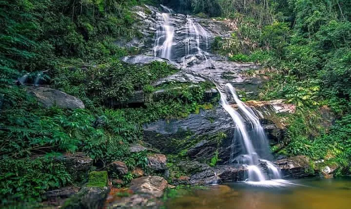 Private Tijuca Forest and Christ the Redeemer Tour
