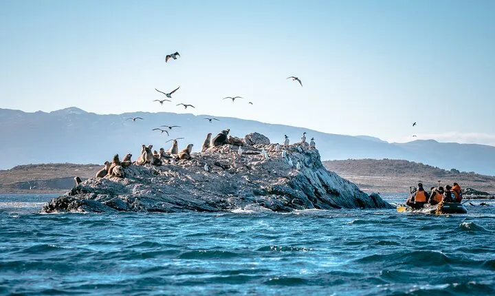 Full-Day Tour to Puerto Almanza from Tierra del Fuego