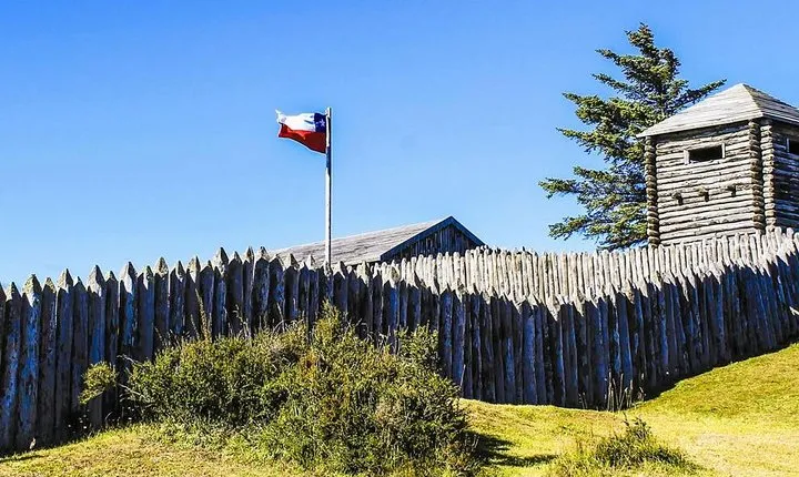 Punta Arenas and Magellan Strait Tour