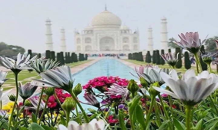 Sameday Taj Mahal Tour From Delhi With Lunch at 5 Star Hotel