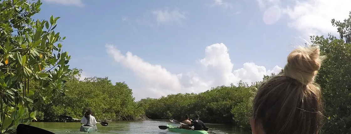 Lac Cai glass-bottom kayak and snorkel mangrove experience