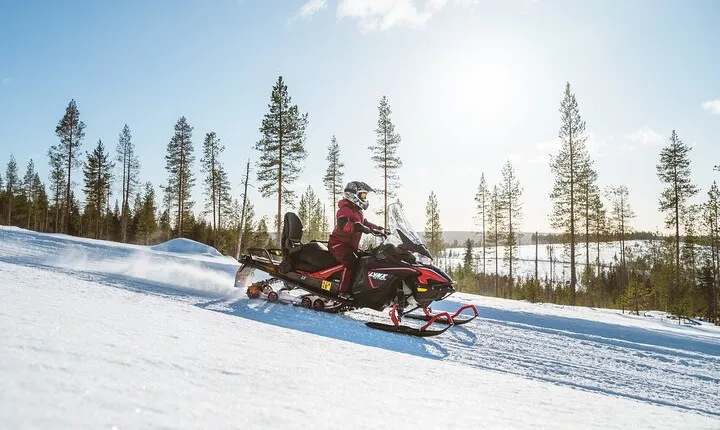 Reindeer Safari with Snowmobile and Cross The Arctic Circle Tour from Rovaniemi