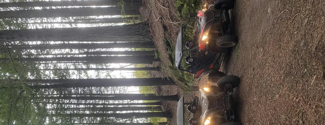Private buggy off-road driving experience in Madeira