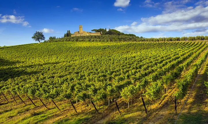 Tuscany Wine Tour from Florence