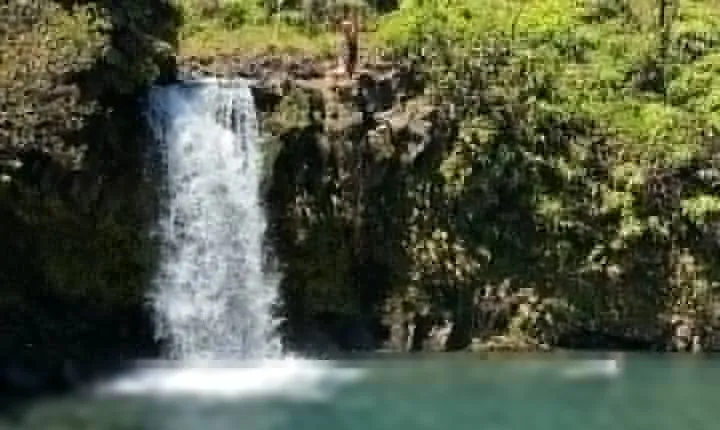 Rainforest Tour to Hana and Beyond