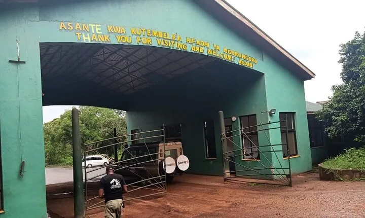 5-Day Private Classic Safari Tour of Ngorongoro and Serengeti