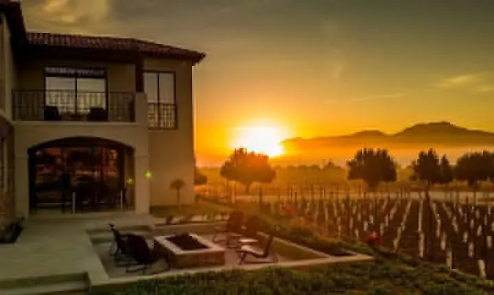 Wine Tasting and Carriage Tour at Premium Winery at Valle de Guadalupe
