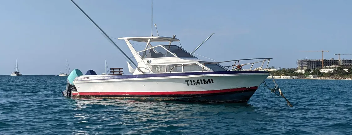 Deep sea fishing half-day tour in Zanzibar