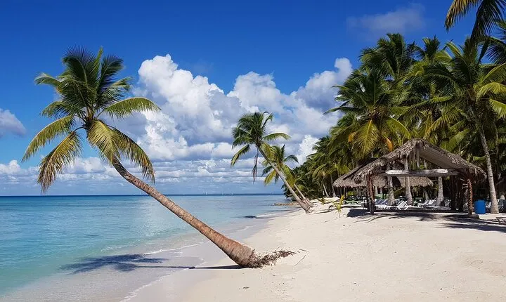 Rumbadera in Saona Island full day