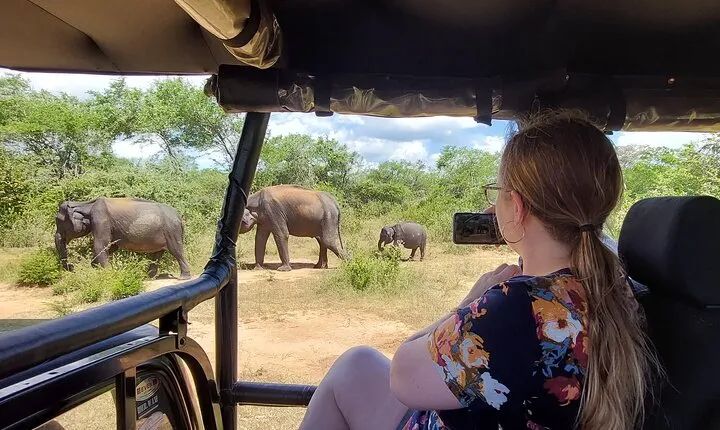 All Inclusive Udawalawe National Park Safari Day Tour from Colombo and Negombo
