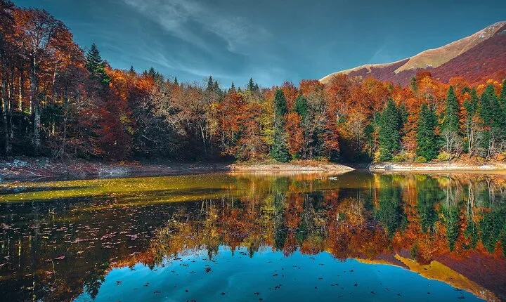 National parks: Biogradska Gora and Skadar Lake Full-day tour