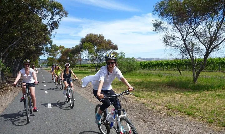 McLaren Vale Wine Tour by Bike