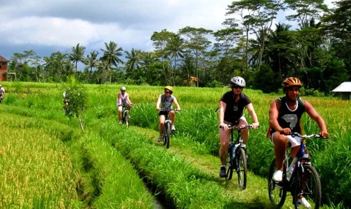 Kintamani Downhill Cycling Adventure