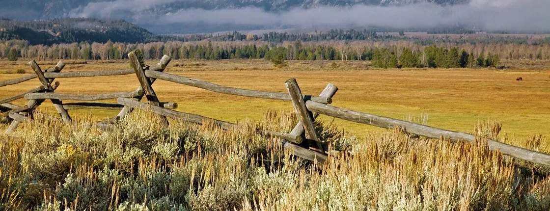 Grand Teton full-day private tour