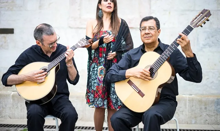 Live Fado Show & Traditional Dinner with Private Night Tour