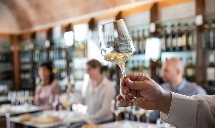Superior Wine Tasting in San Gimignano