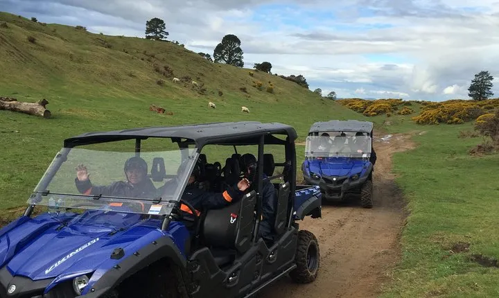 Off-Road 4WD Buggy Adventure from Rotorua