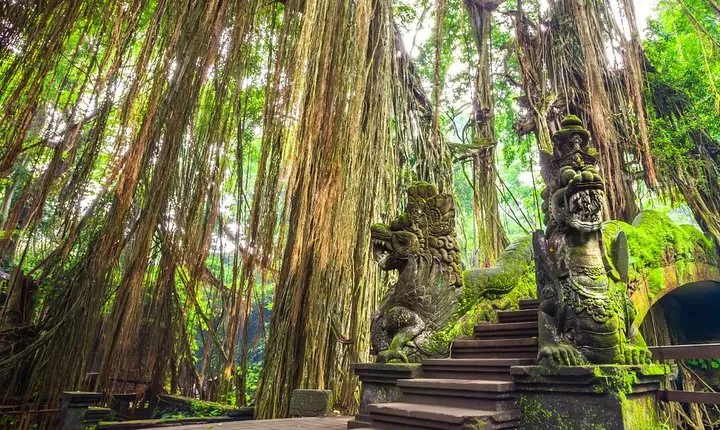 Ubud Holy Spring Temple Blissful Cleansing