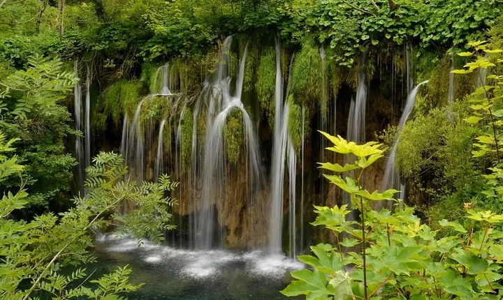 All inclusive luxury daytrip Plitvice Lakes from Split or Trogir